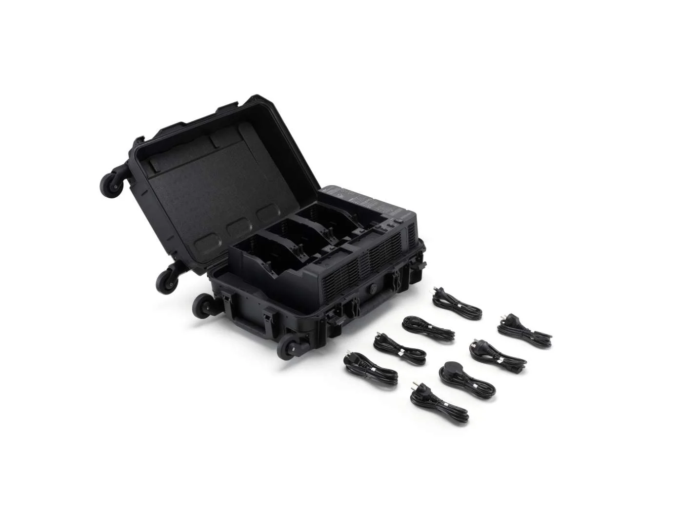 BS100 Intelligent Battery Station